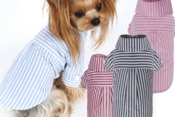 Интернет-магазин одежды для собак LuxDogs фотография 1