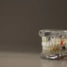 Зуботехническая лаборатория Dental art 