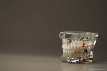 Зуботехническая лаборатория Dental art 