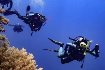 Клуб подводного плавания Наутилус 