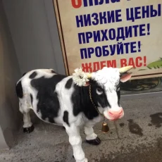 Магазин молочной продукции Октябрьская молочная кухня на Профсоюзной улице фотография 5